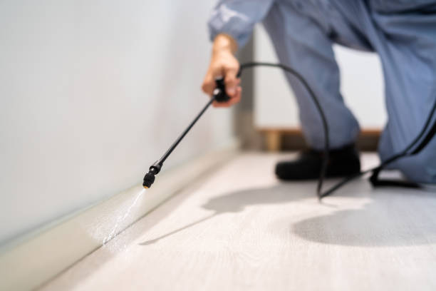 Licensed Pest Control service in Bellevue, IA - Show Me Pest Control